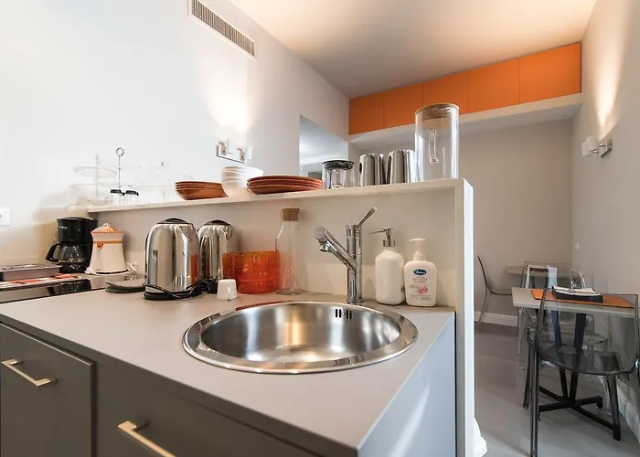 公寓 奥维迪奥套房住宿加早餐旅馆 罗马